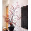Baies rustiques sur une grande branche-1146390161