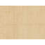 Hand Knotted Area Rug in Ivory
