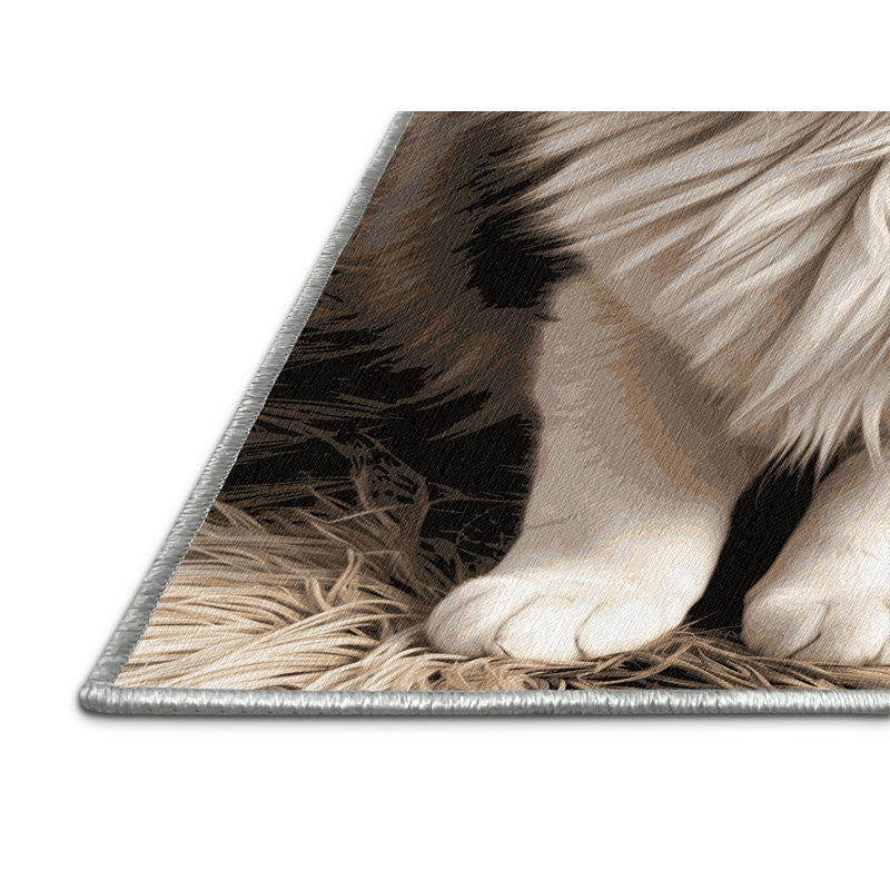  Tapis domestique lavable à poils longs, Rectangulaire 3 pi x 5 pi