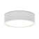 Altavious Flush Mount
