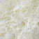 Petrey Indoor Rug