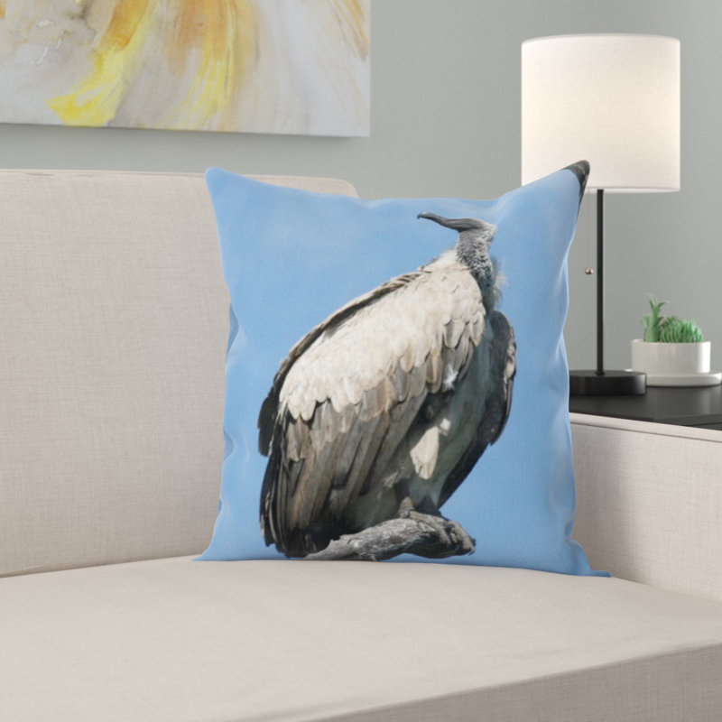 Coussin vulture