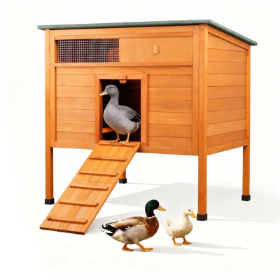 Insulated Duck House Outdoor