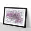 Pink Dahlia Flower Sketch - Picture Frame Graphic Art Print-56875215-56875216