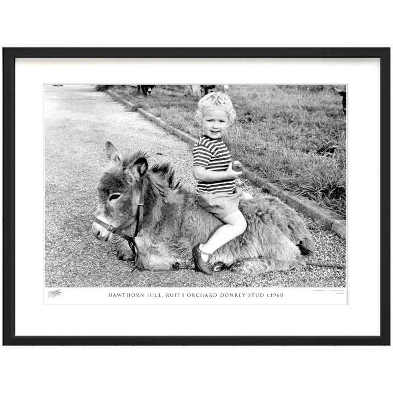 Hawthorn Hill, Ruffs Orchard Donkey Stud C1960 - Single Picture Frame Print, 60cm H X 80cm W x 2cm D