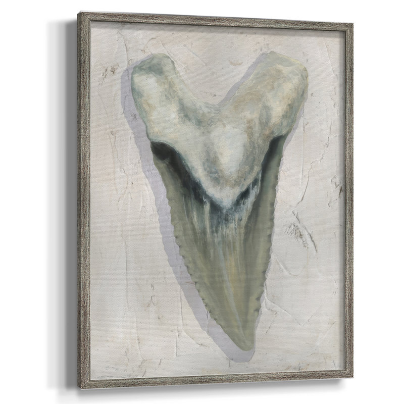 Watercolor Sharks Tooth II Framed Print - Solid Wood, 15" H x 12" W