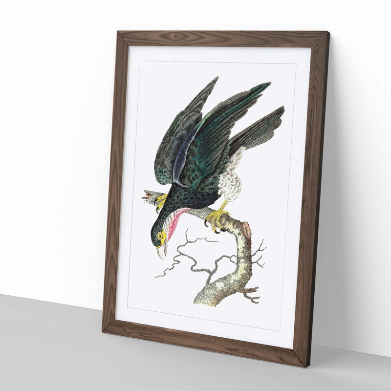 Blue Falcon by George Shaw - Framed Print, 60cm H x 40cm W x 2cm D, Walnut