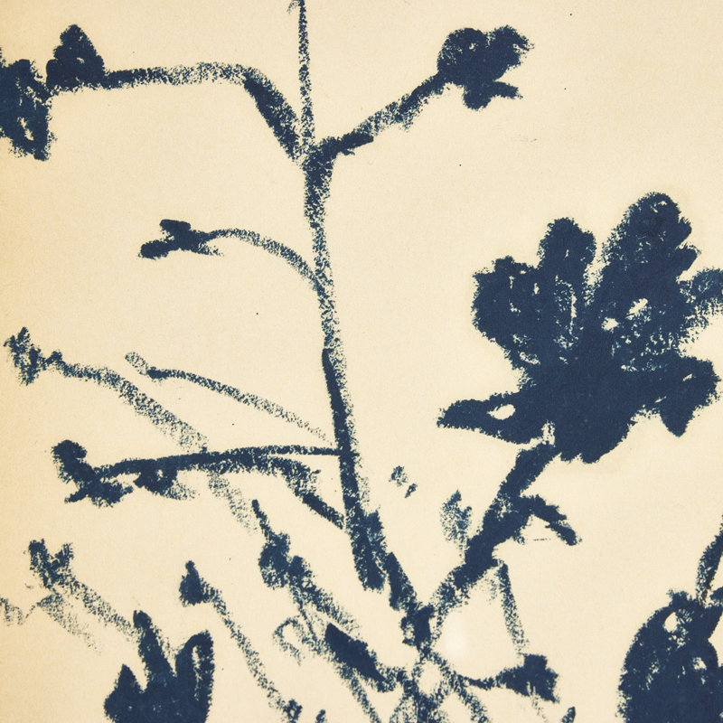 Summer Weed by Shaina Page, 18" H x 16" W
