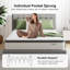 Novilla 27cm Memory Foam  Pocket Sprung Mattress-109006881-109006885