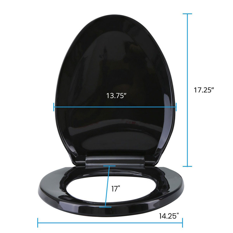 Elongated Toilet Seat and Lid