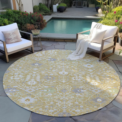 Chayden Indoor/Outdoor Chantille ACN1009 Area Rug