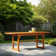 Alfonsi Extendable Acacia Wood Outdoor Dining Table