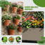 Boîte à fleurs en métal galvanisé avec treillis Forson-259800249-236355865