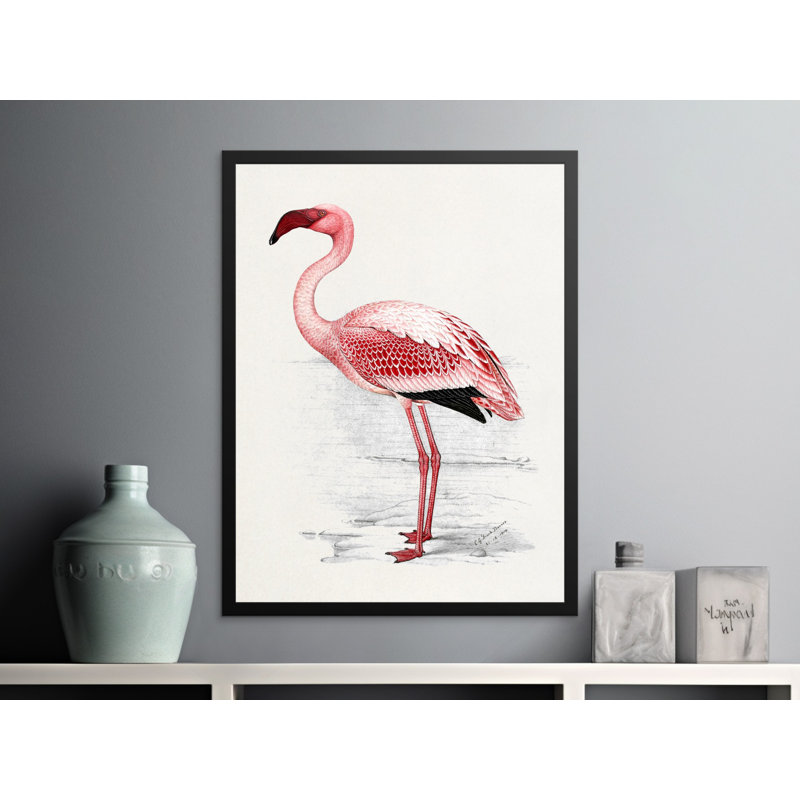 Conard Single Picture Frame Print, 35.56 cm H x 27.94 cm W