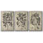 Ensemble de 3 pièces encadrées sur toile embellies Antique Foliage I-97794868-97794869