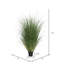 Gazon vert en pot Kellan-22996676
