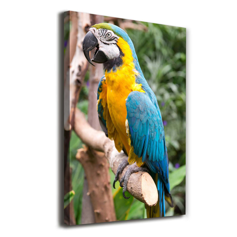 Ara Parrot - Wrapped Canvas Print