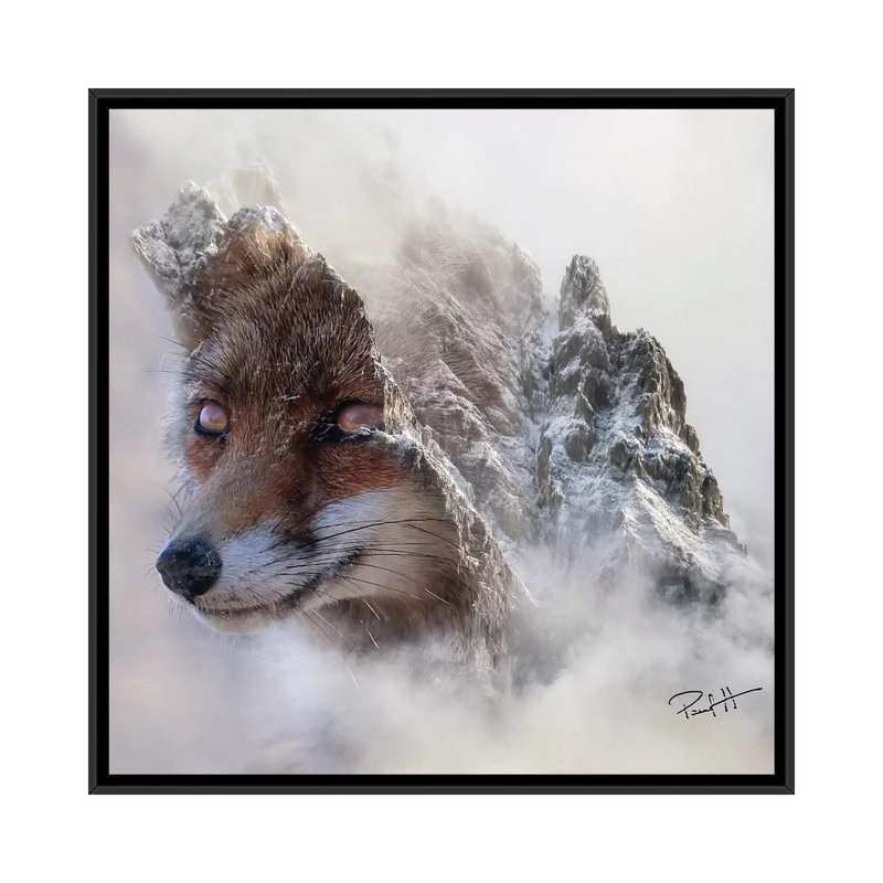 Mountain Fox by Paul Haag - Print on Canvas, Black Framed, 45.72 cm H x 45.72 cm W