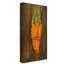 Dougray «Carrots», reproduction de peinture acrylique sur toile tendue-30361855