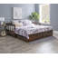 Crespo Storage Bed-1670822689