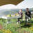 Downham Rectangular Outdoor Folding Picnic Table