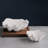 VIDA Ocean Shell Small Bowl (White)