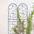 4 Pack Metal Garden Trellis