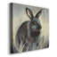 Toile tendue Wild-Hare I-Premium Gallery - prête à être accrochée