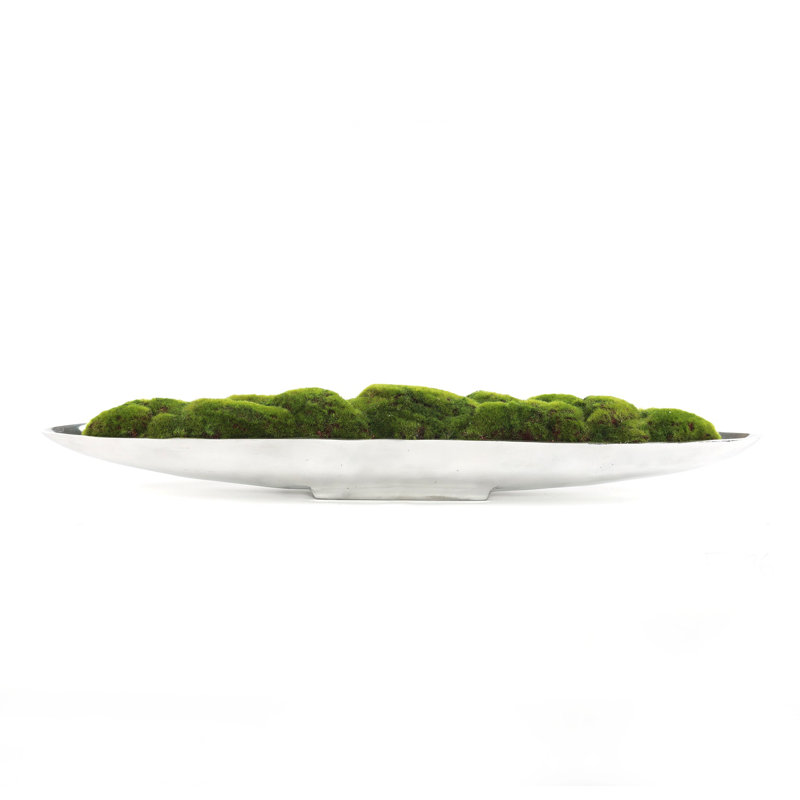 5" Artificial Moss Grass in Boat Tray