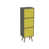 Yellow/Beech
