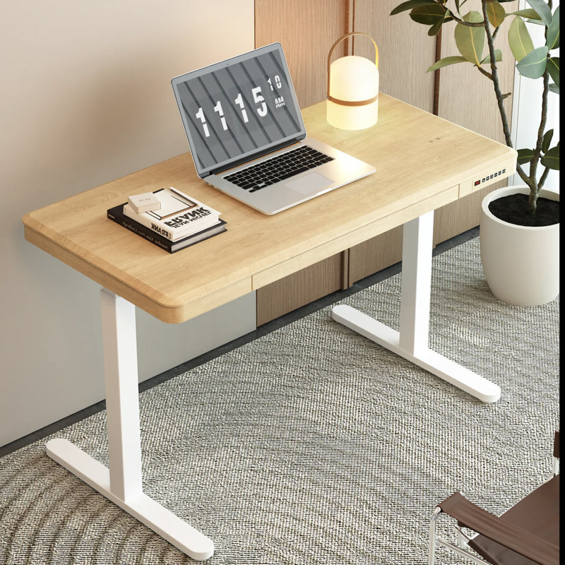 Caritta 48" Electric Height Adjustable Standing Desk with drawers, Natural/White