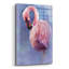 «Pretty In Pink Flamingo» par Robert Campbell-1571830248