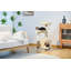 Petit arbre à chat pour chat d'intérieur, tour de chat moyenne avec jouet pour chat interactif, condo pour chat 32,7 po avec brosse auto-toilettée, griffoir naturel pour chat, boules pendantes pour petits et moyens chats-1401824468