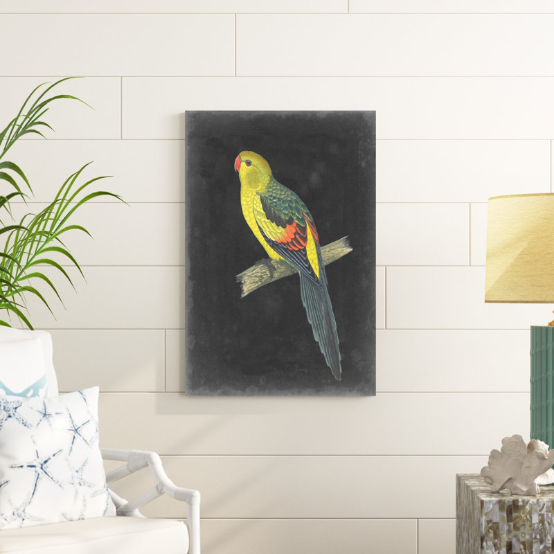 " Dramatic Parrots VI " by Vision Studio Painting Print, 36" H x 24" W x 1.25" D