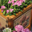 Jardinière chinoise