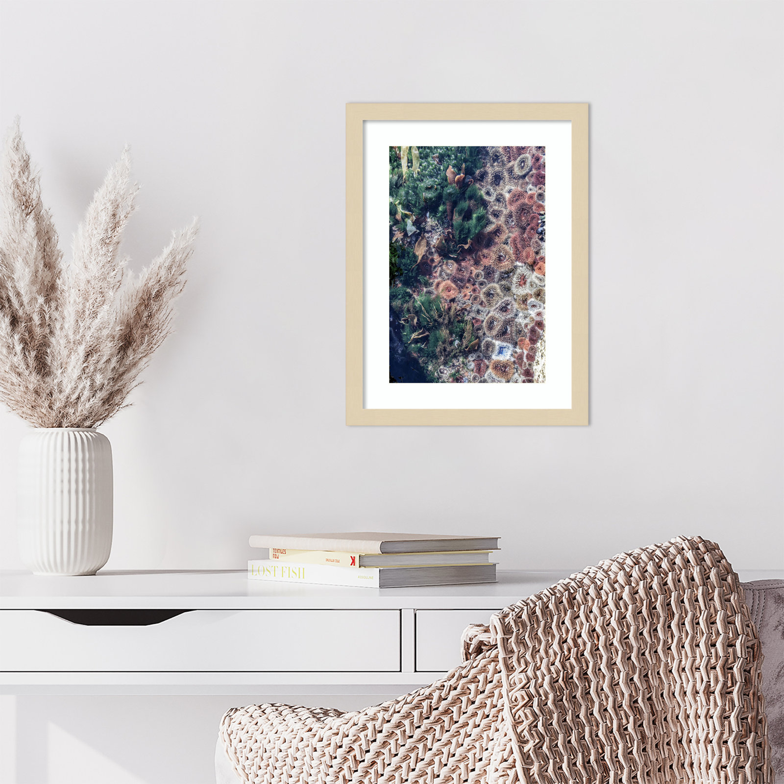 Daisey "Ocean Curiosities" Print, Brown, 17" H x 13" W