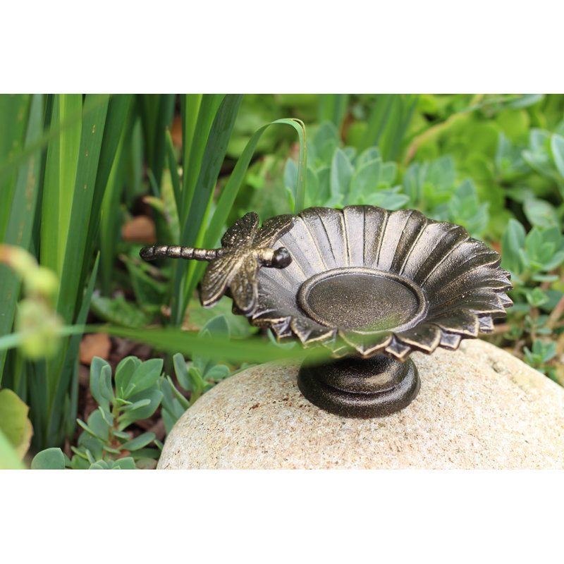 Bain d’oiseaux de table Bergson