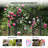 86 In. Pvc Garden Arbor With Gate-112680472