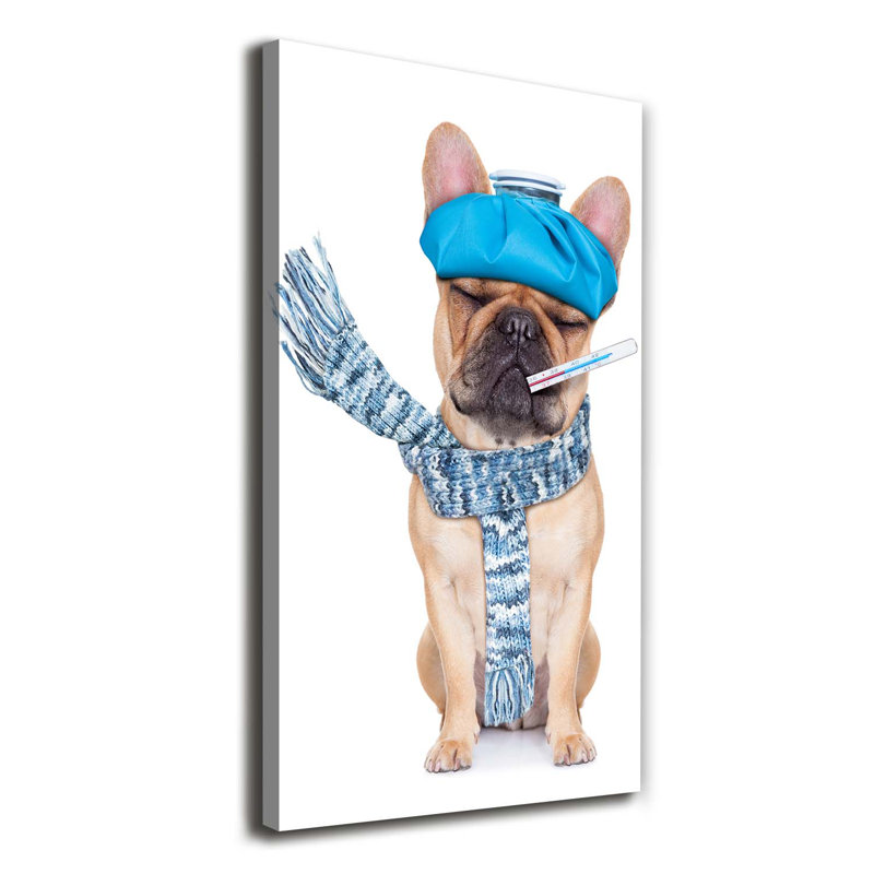 Ill Dog - Wrapped Canvas Print