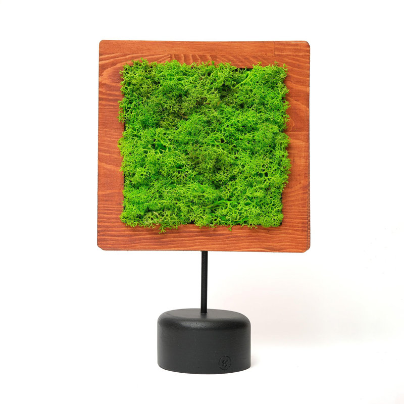 Decorative Object
