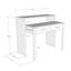 Dickie Writing Desk