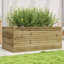 Amiela Planter Box-918828463-918828452
