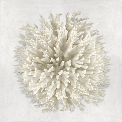 Coral I by Caroline Kelly - Wrapped Canvas Print