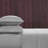 Champion Elastic Logo Microfiber Sheet Set-128579066-128579067