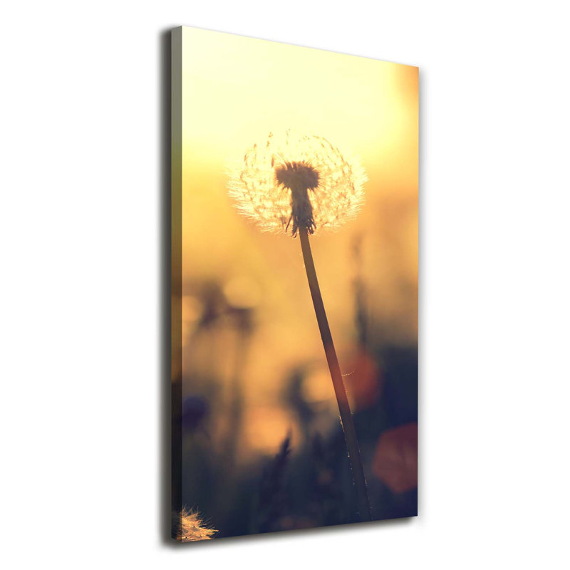 Pink Orchid - Wrapped Canvas Print