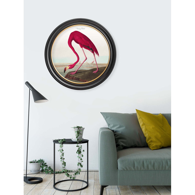 Flamingo Light Background In Round Frame by Audubon - Single Picture Frame Print on Archival Matt 230gsm Paper