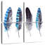 Plumes de geai bleu-1786481845