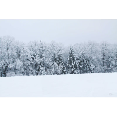 Snowshoe Hill