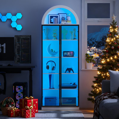 76" Tall Arched Display Cabinet by Wrought Studio