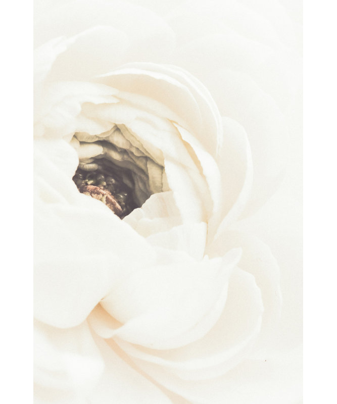 Wrapped Canvas Print, 60.96 cm H x 91.44 cm W